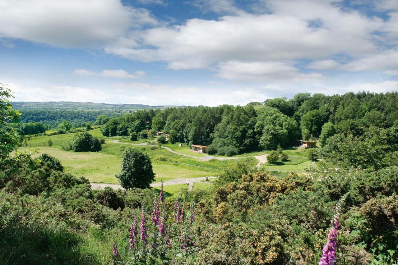 Yorkshire Dales Lodge 4 Family 3 Bed Ричмънд Екстериор снимка